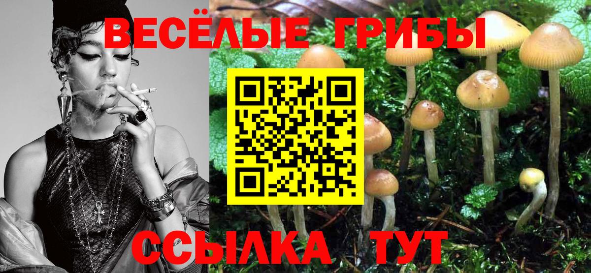 Псилоцибиновые грибы прущие грибы Белогорск